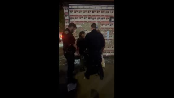 Hamas supporters arrested in Manhattan for vandalizing hostage posters