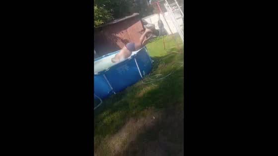 Person tries to jump into pool in Drogoszewo, Poland