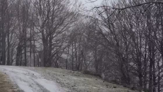 Early snowfall begins in the forests of Valdezcaray, Spain