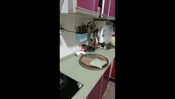 Cat waits for mouse to emerge before chasing and catching it in Hubei, China