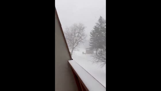 Whiteout conditions sweep Dalhousie, Calgary amid Alberta Clipper, Canada