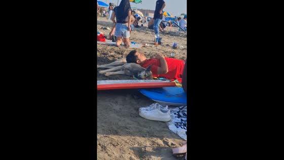 Dog and owner nap on the beach in Barranca, New Mexico, USA