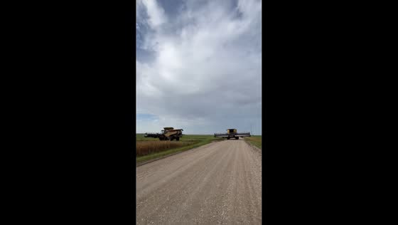 Canola harvest begins with combine harvesters in Manitoba, Canada