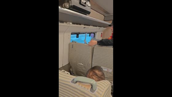 Bird sneaks inside train in Guangzhou, China