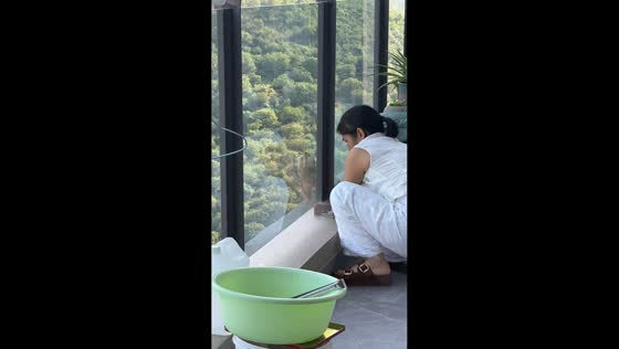 Woman carefully rescues chicken from high-rise balcony in Guangdong, China