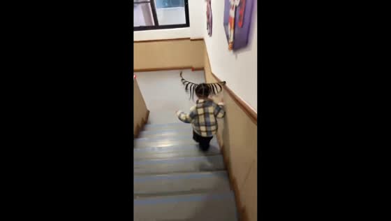 Little girl’s braids bounce humorously on stairs in Henan, China