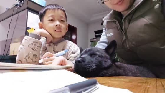 Dog peacefully sleeps while father helps son with homework in Shandong, China