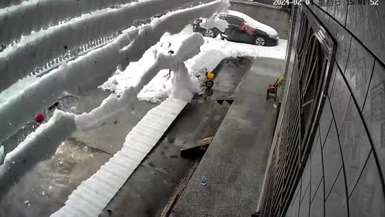 Terrifying snowfall mishap caught on camera: woman crushed while clearing snow
