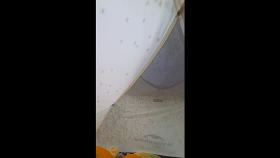 Tent swarmed by mosquitoes in Khanty-Mansi Autonomous Okrug, Russia