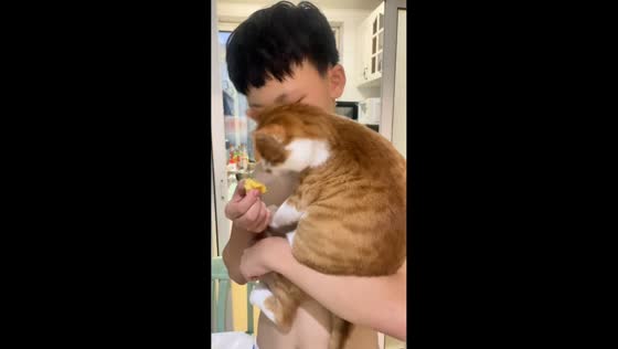 Cat upset after boy eats its treat in Tianjin, China