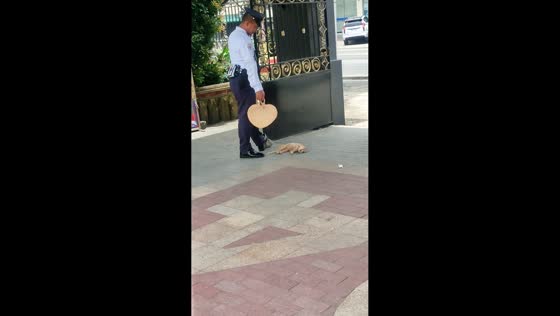 Security guard caring for a cat in Iloilo, Philippines