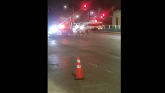 Cow runs over policeman in Santiago street incident