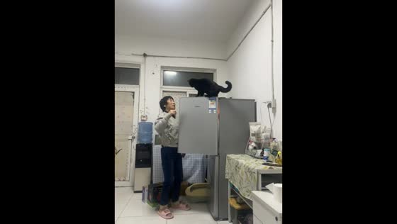Mischievous cat blocks owner from opening refrigerator in Beijing, China