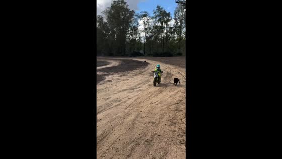 Boy races Staffordshire Bull Terrier on mini motocross bike in Sardegna, Italy