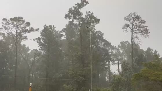 Rain shower with low visibility in Hueytown, Alabama