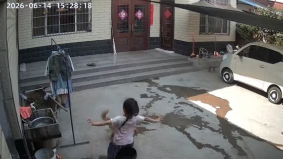 Girl falls into water bucket after playful push from dog in Henan, China