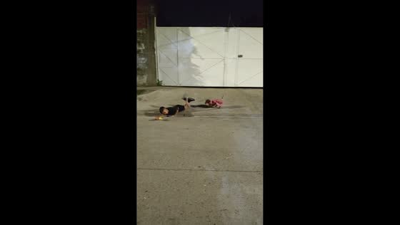 Child trips during playful chase with dog in San Miguel, Argentina
