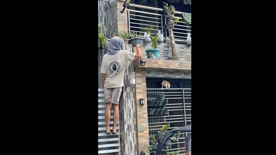 Heroic cat attempts to rescue stranded kitten on high balcony in General Trias, Cavite