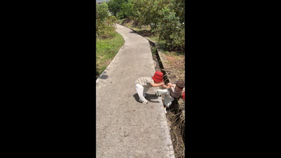 Two toddlers fall while walking hand-in-hand in Sichuan, China