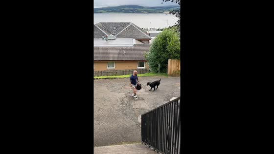 Excited flat-coated retriever welcomes owner home in Port Glasgow, Scotland, UK