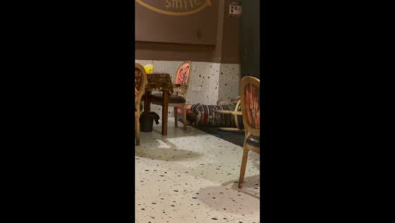 Man falls from chair while dancing in front of CCTV camera in Sichuan, China