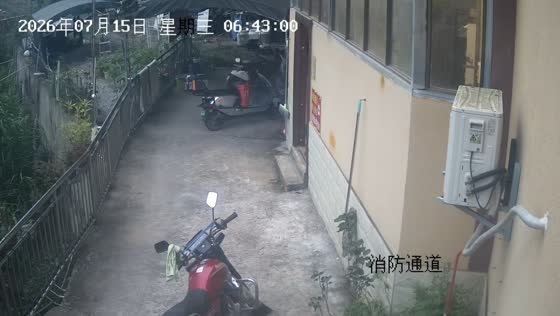 Two elephants run through residential area in Yunnan, China