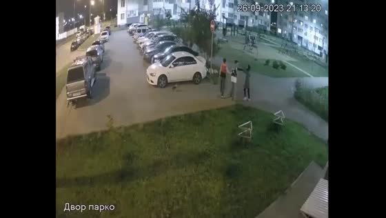 Brutal retribution: man assaults woman caught on video kicking his dog in Samara, Russia