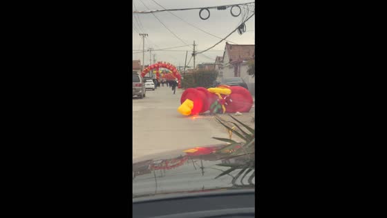 Inflatable wedding plane deflates after strong winds push it toward power lines in Tianjin, China