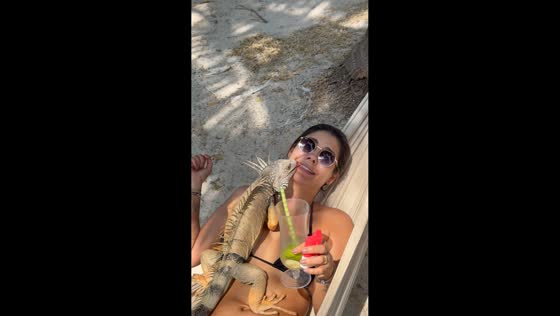 Iguana surprises woman with a kiss while she relaxes in Berrugas, Colombia