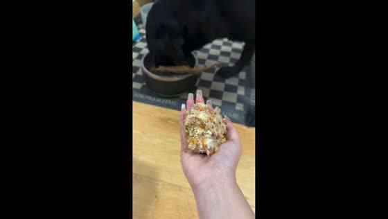 Dog adorably shares its food with owner in Shandong, China
