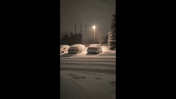 Snowstorm blankets vehicles during winter storm in Kitchener, Ontario, Canada