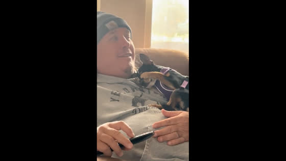 Dog covers eyes on cue during movie in Nordheim, United States