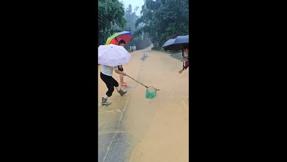 Women catch fish during flood on roadside in Guangdong, China