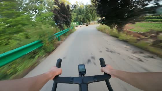 Cyclist gets chased by barking dogs along a rural road in Sichuan, China