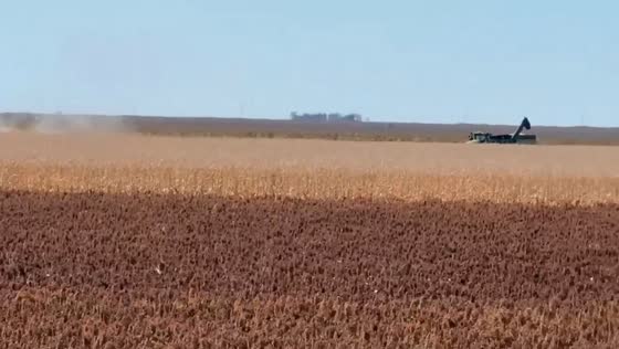 Good yields reported as harvest advances near Ulysses, Kansas