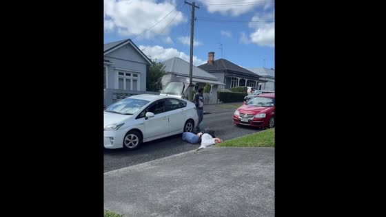 Driver unfazed as person falls with bags in Auckland