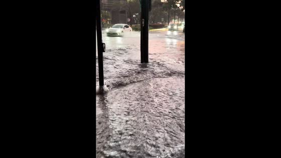 Flash flooding sweeps through streets after hailstorm in Sydney, Australia