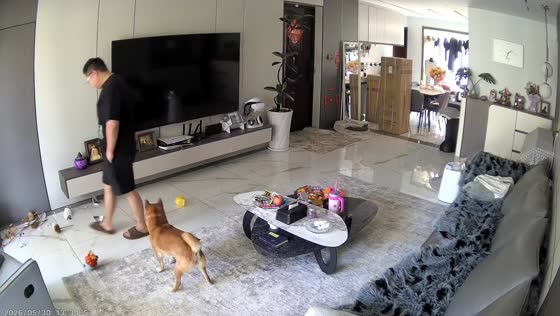 Man blames dog after vase shatters during playtime in Guizhou, China