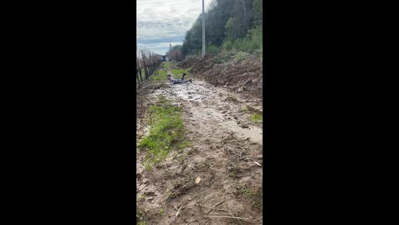 Chile: person slips in mud, washes off in stream
