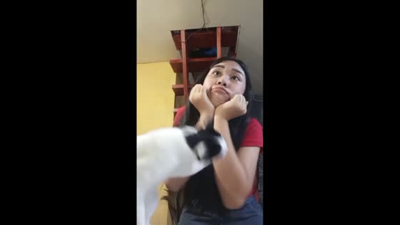 Cat bites owner after weird face pose in Tagum, Philippines