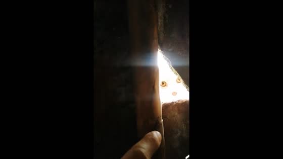 Cat hisses from roof in Ginebra, Colombia