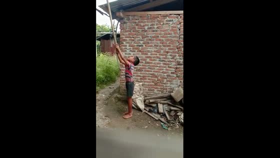 Playful mango bandit: a boy's sticky adventure in Manado, Indonesia
