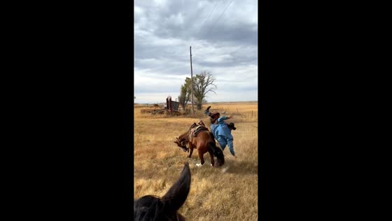 Horseman falls after horse bucks in Nebraska, USA