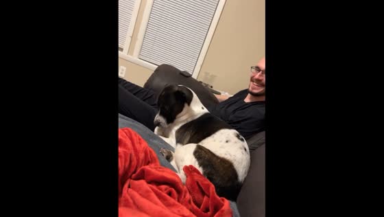 The fun dog distances herself when her owner coughs!