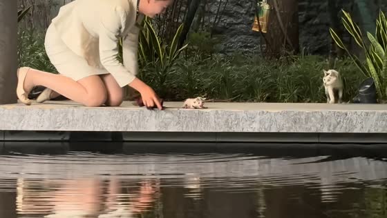 Woman rescues kitten trapped beneath stone ledge in Guangdong, China