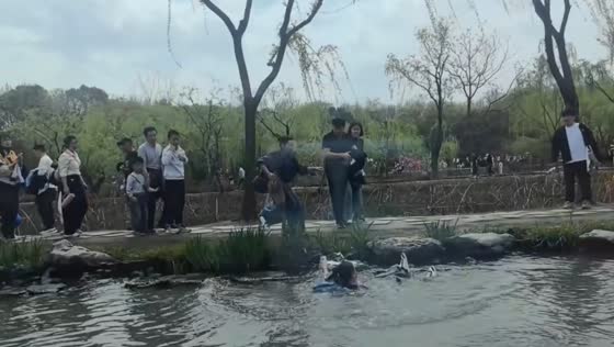 Visitor slips into water at Slender West Lake park in Jiangsu, China