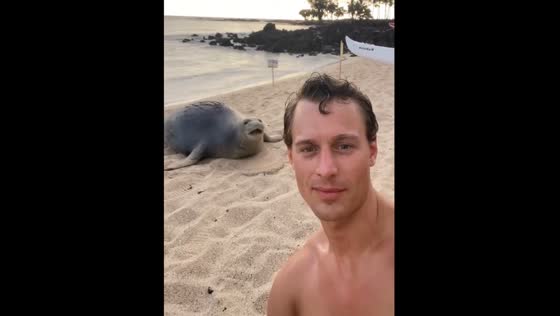 Photographer captures spontaneous moment with Monk seal on Hawaii's shorelines