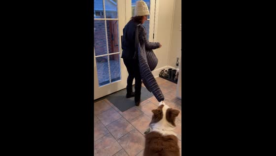 Doggy winter assistant: unzipping jackets and fetching frisbees!