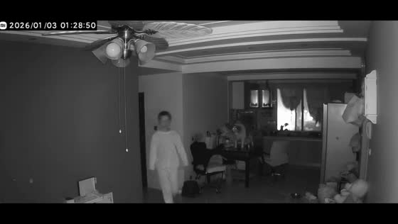 Dog scares woman in the middle of the night in Henan, China