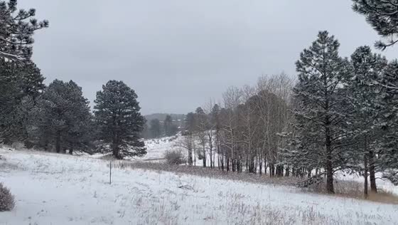 Snow blankets Evergreen, Colorado
